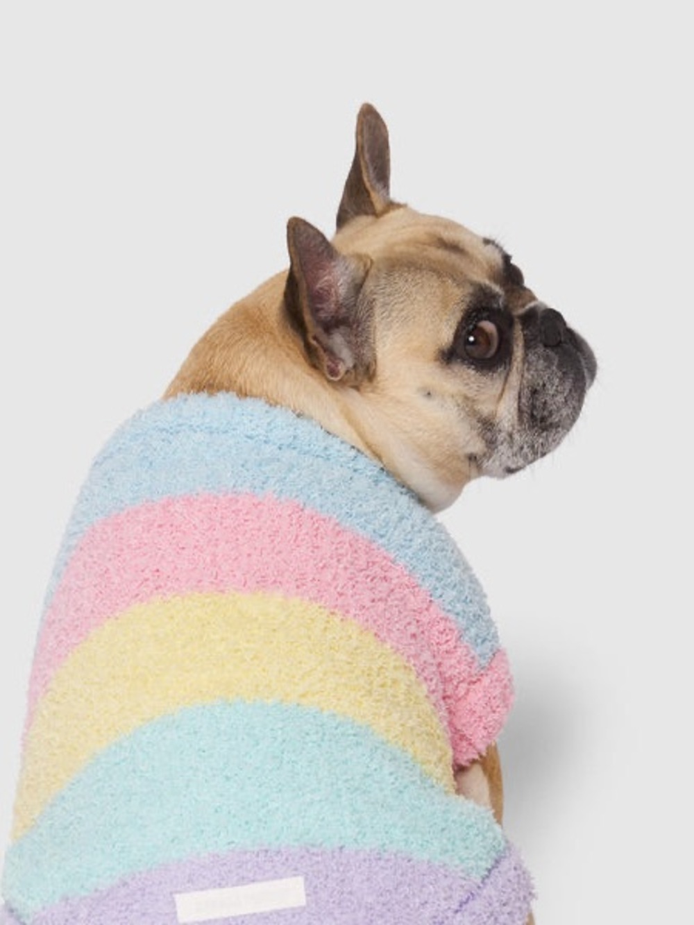Dog sweater - Picture 2 of 8